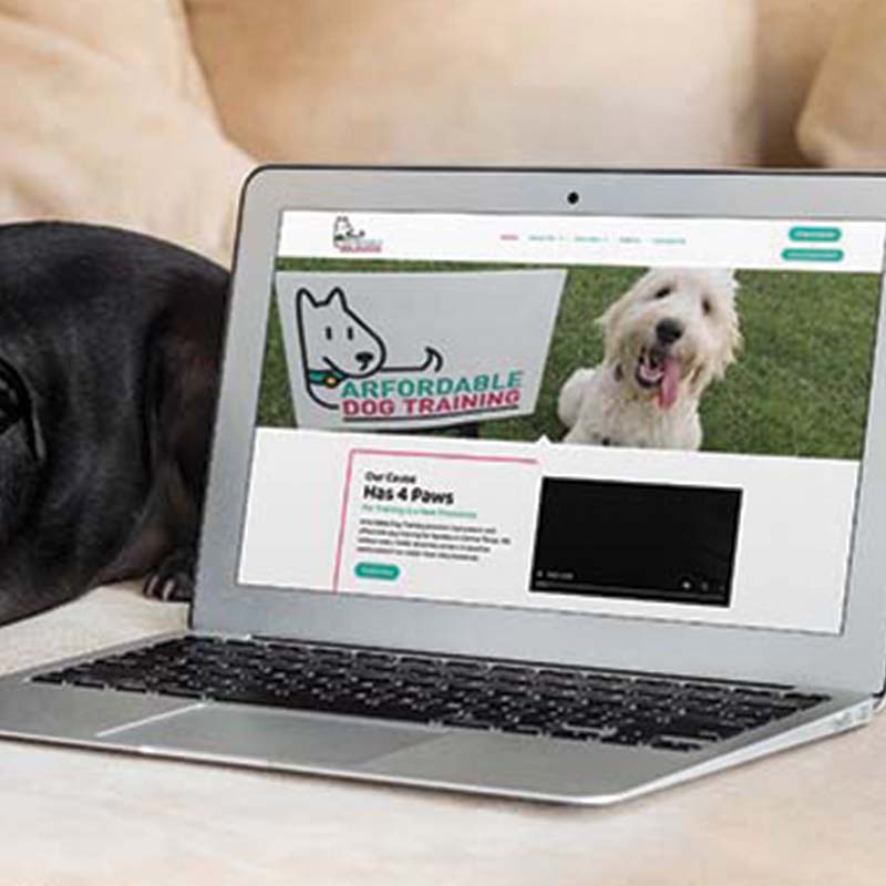 Website For Arfordable Dog Training